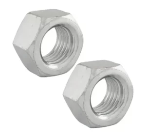 PORCA-1.1-4 2 UNIDADES (1)-SITE