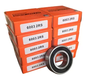 ROLAMENTO-6003-10-UNIDADES (1)