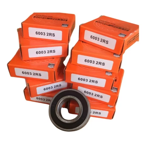 ROLAMENTO-6003-10-UNIDADES (2)