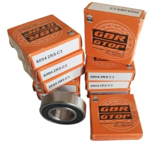 ROLAMENTO-6004-10-UNIDADES (1)